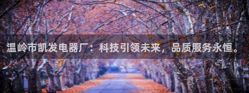 南宫NG代理：温岭市凯发电器厂：科技引领未来，品质服务永恒。