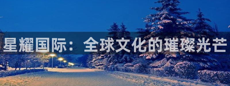 南宫NG加拿大：星耀国际：全球文化的璀璨光芒