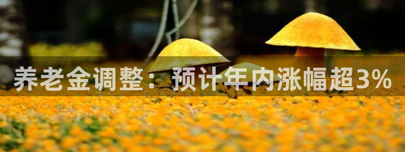 南宫NG注册：养老金调整：预计年内涨幅超3%