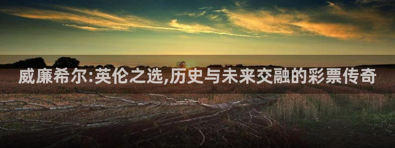 南宫NG体育官网入口登录：威廉希尔:英伦之选,历史与未来交融的彩票传奇