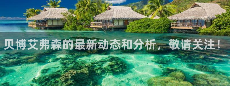 南宫NG平台：贝博艾弗森的最新动态和分析，敬请关注！