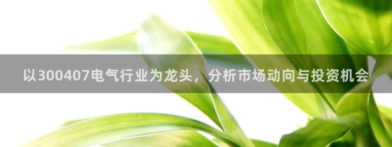 南宫NG体育f开号：以300407电气行业为龙头，分析市场动向与投资机会