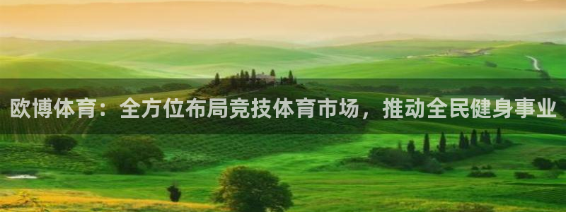上海南宫NG汽车电子有限公司：欧博体育：全方位布局竞技体育市场，推动全民健身事业