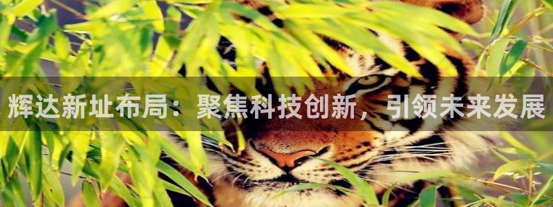 南宫NG账号注册入口：辉达新址布局：聚焦科技创新，引领未来发展