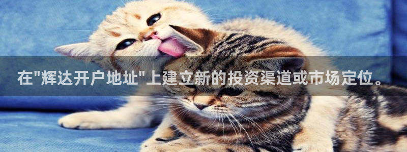 南宫NG体育1招商：在\
