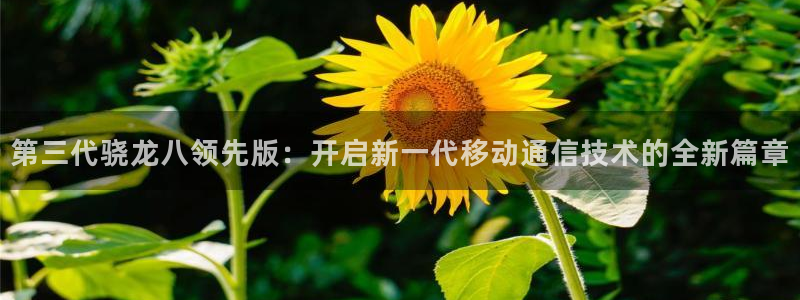 南宫NG4平台：第三代骁龙八领先版：开启新一代移动通信技术的全新篇章