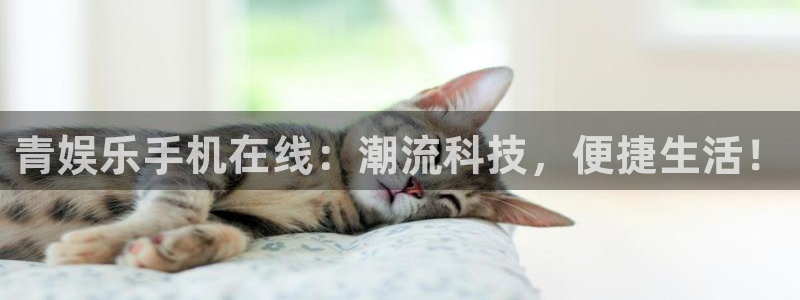 南宫NG体育4：青娱乐手机在线：潮流科技，便捷生活！