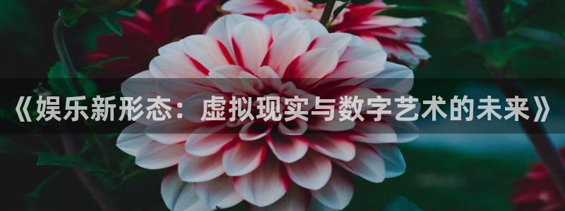 南宫NG招商：《娱乐新形态：虚拟现实与数字艺术的未来》