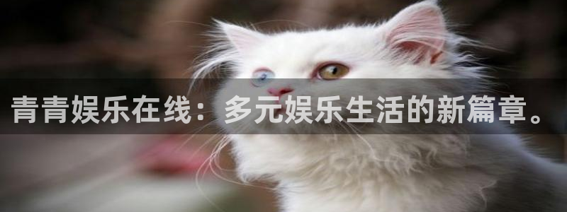 南宫NG3：青青娱乐在线：多元娱乐生活的新篇章。