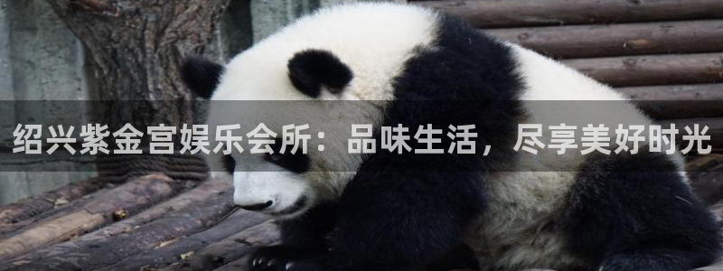 南宫NG手机版下载：绍兴紫金宫娱乐会所：品味生活，尽享美好时光