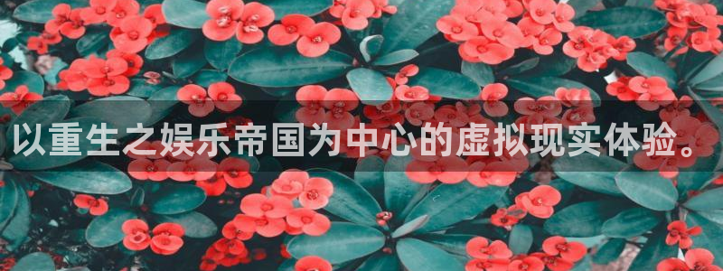 南宫NG体育老板是谁：以重生之娱乐帝国为中心的虚拟现实体验。