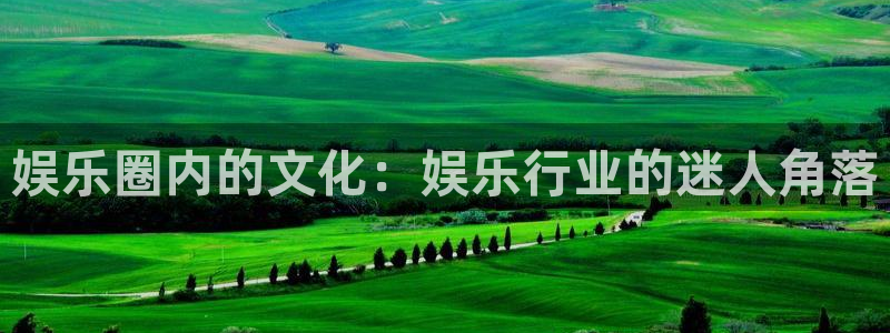 南宫NG电子娱乐官网下载：娱乐圈内的文化：娱乐行业的迷人角落