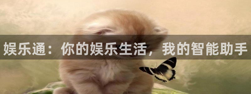 南宫NG游戏官网平台入口：娱乐通：你的娱乐生活，我的智能助手