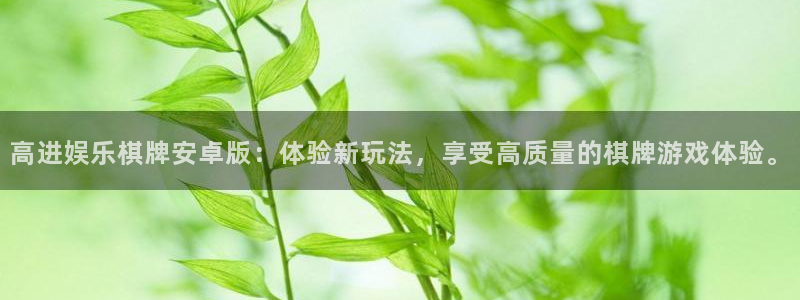 南宫NG平台开户链接：高进娱乐棋牌安卓版：体验新玩法，享受高质量的棋牌游戏体验。
