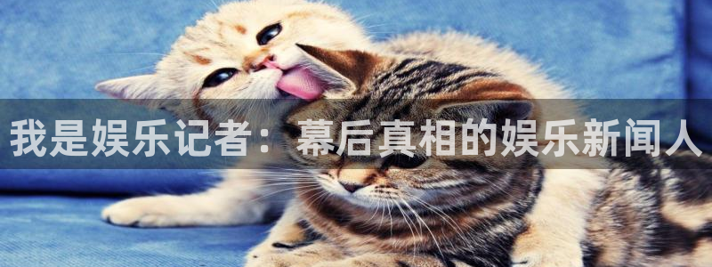 南宫NGccmpc：我是娱乐记者：幕后真相的娱乐新闻人