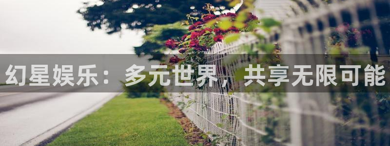 南宫NG2平台登录：幻星娱乐：多元世界，共享无限可能