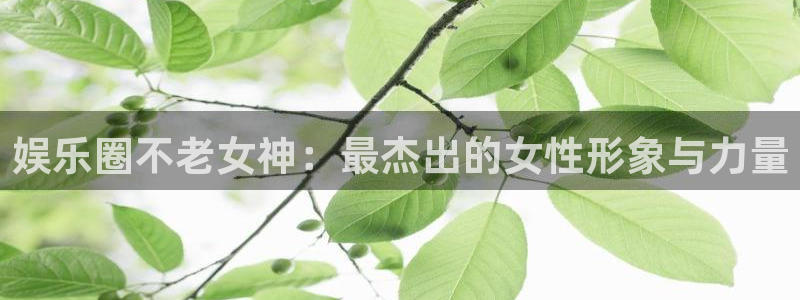 南宫NG登录：娱乐圈不老女神：最杰出的女性形象与力量