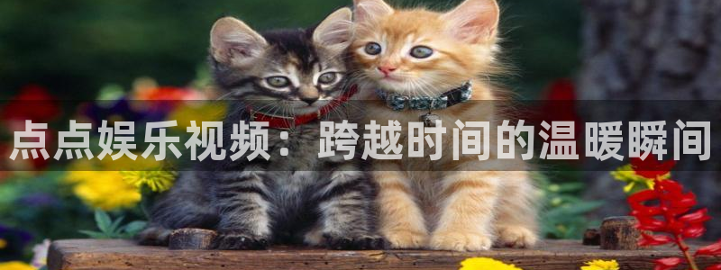 南宫NG体育热门赛事有哪些：点点娱乐视频：跨越时间的温暖瞬间