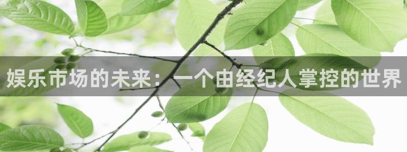 南宫NG游戏官网版：娱乐市场的未来：一个由经纪人掌控的世界