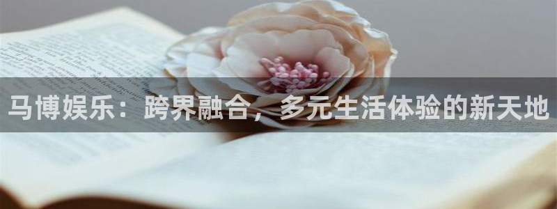 南宫NG加拿大官网：马博娱乐：跨界融合，多元生活体验的新天地